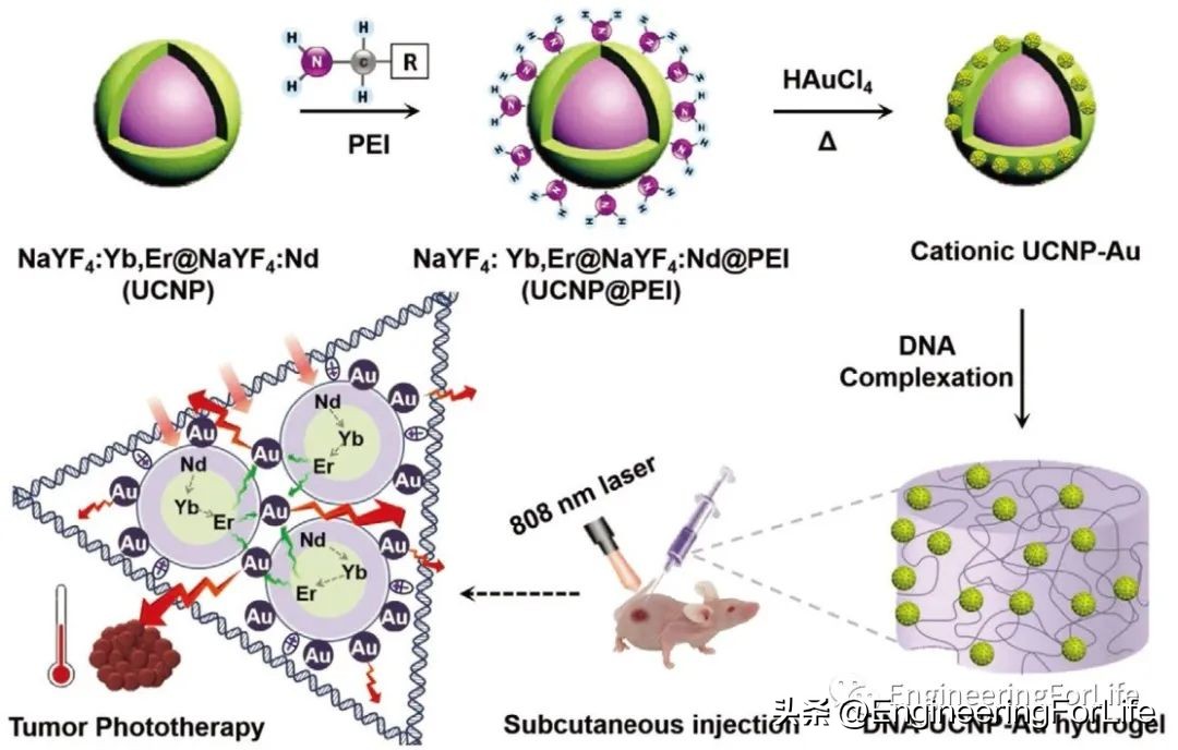 转换思维在生活中的运用,水凝胶纳米粒子