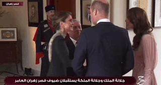 凯特王妃高级造型,凯特王妃穿蓝色格子英伦风