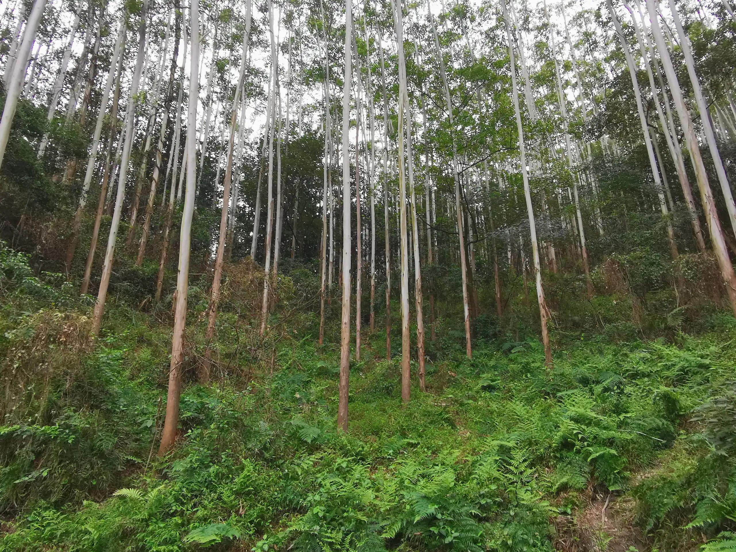 广州永和天坑爬上去要多久时间,天坑一日游攻略大全