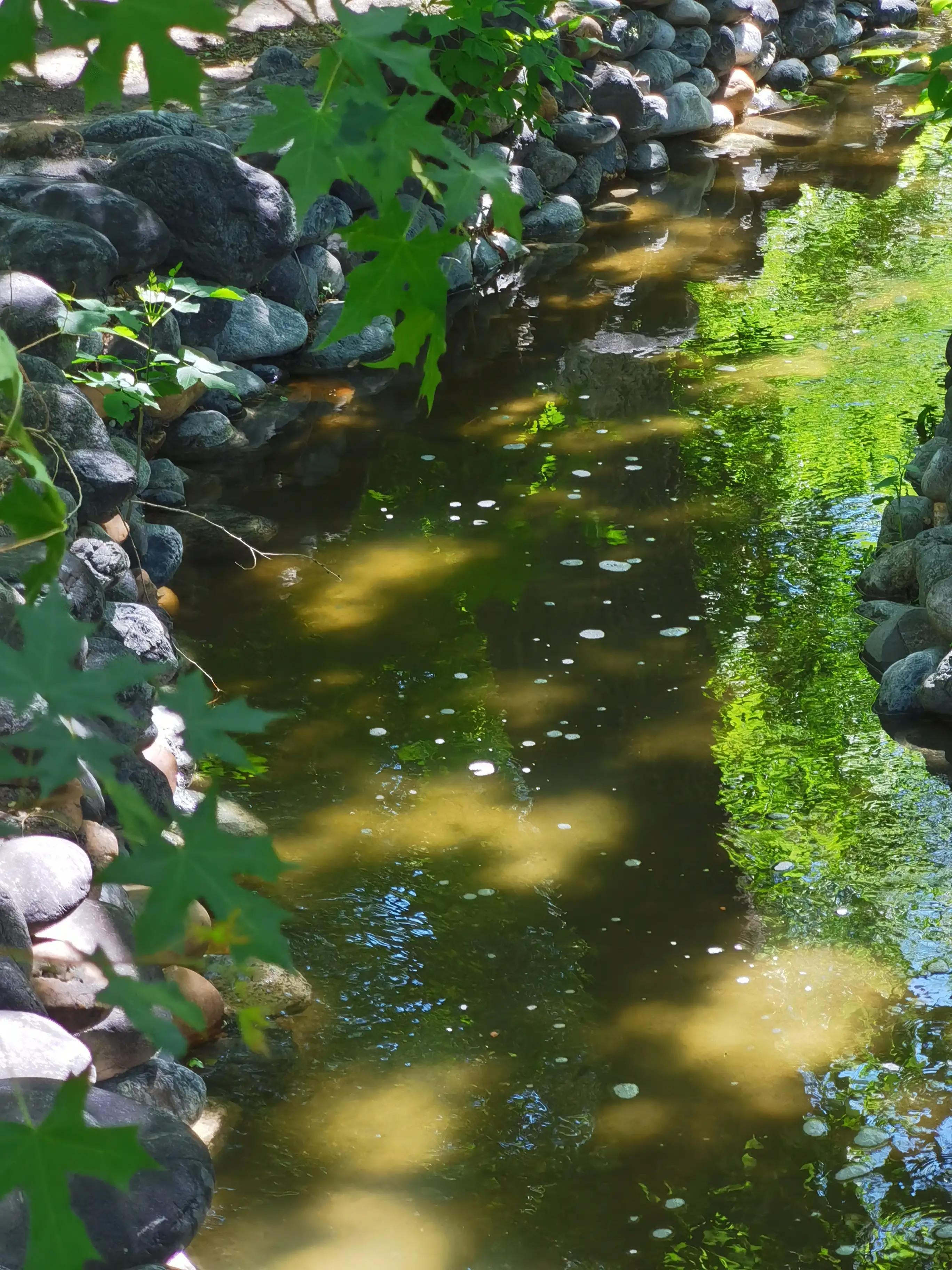 止水之难，难于死心