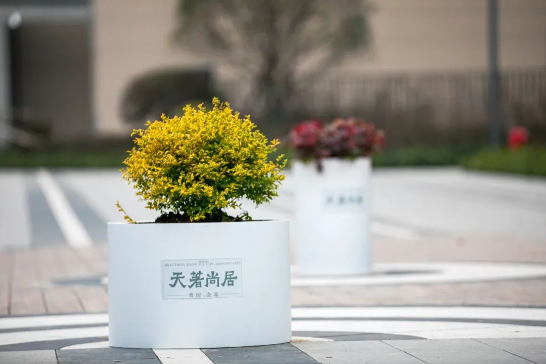 奥园金基天著尚居备案价,奥园金基天著尚居101平