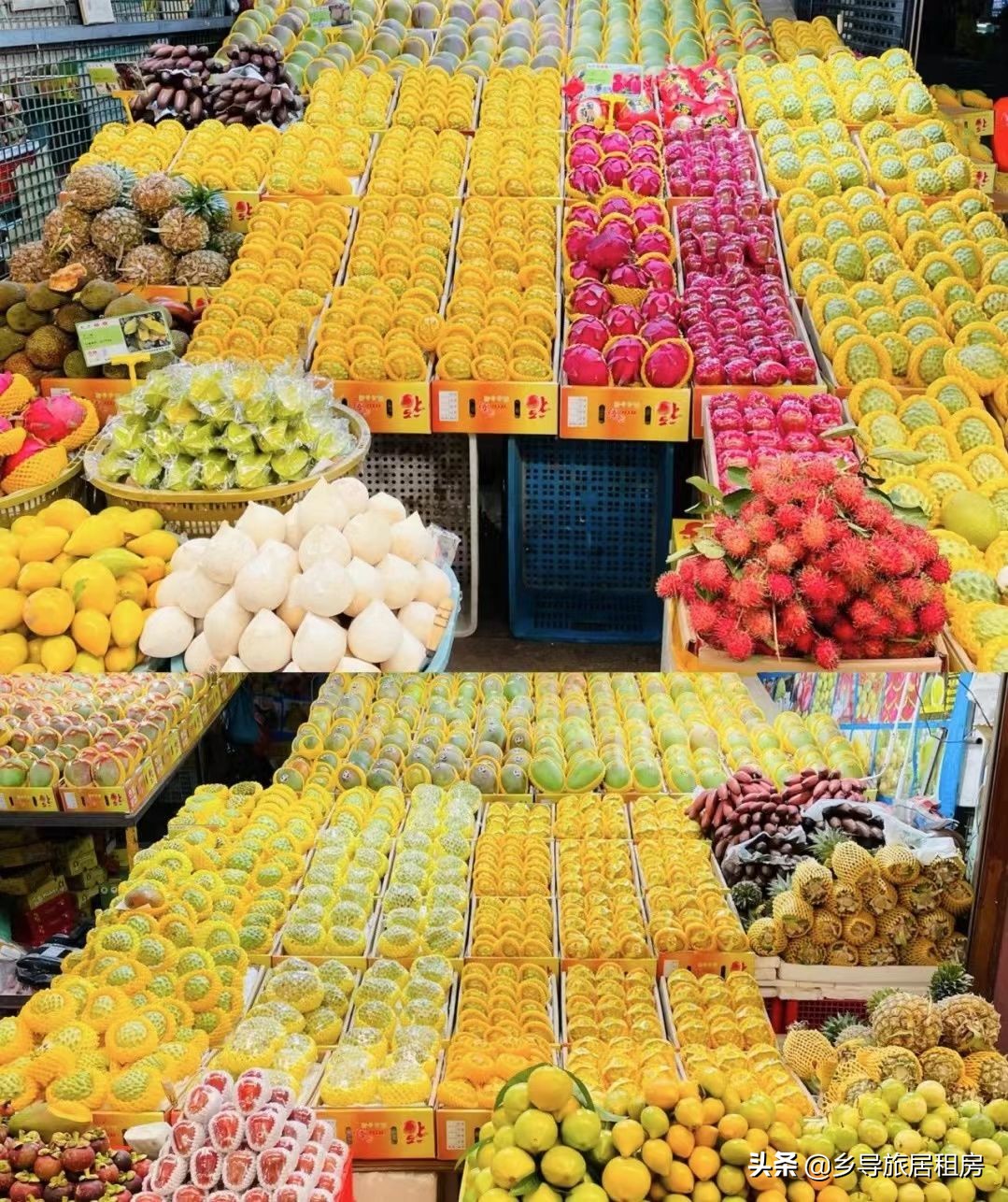 在三亚买芒果攻略,三亚旅游买芒果
