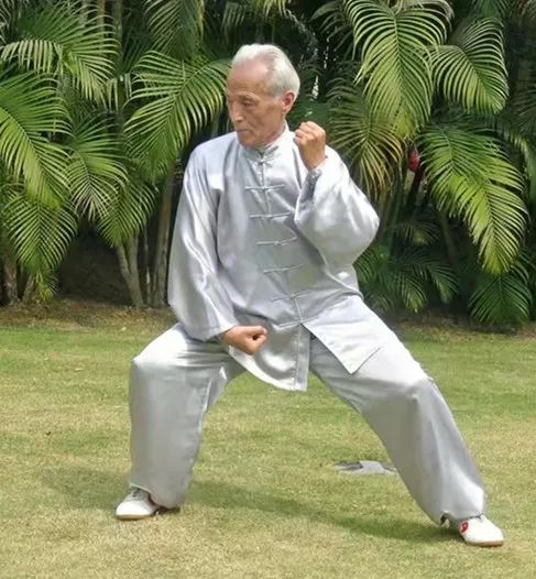 沉痛悼念陈道长,沉痛悼念陈林英雄