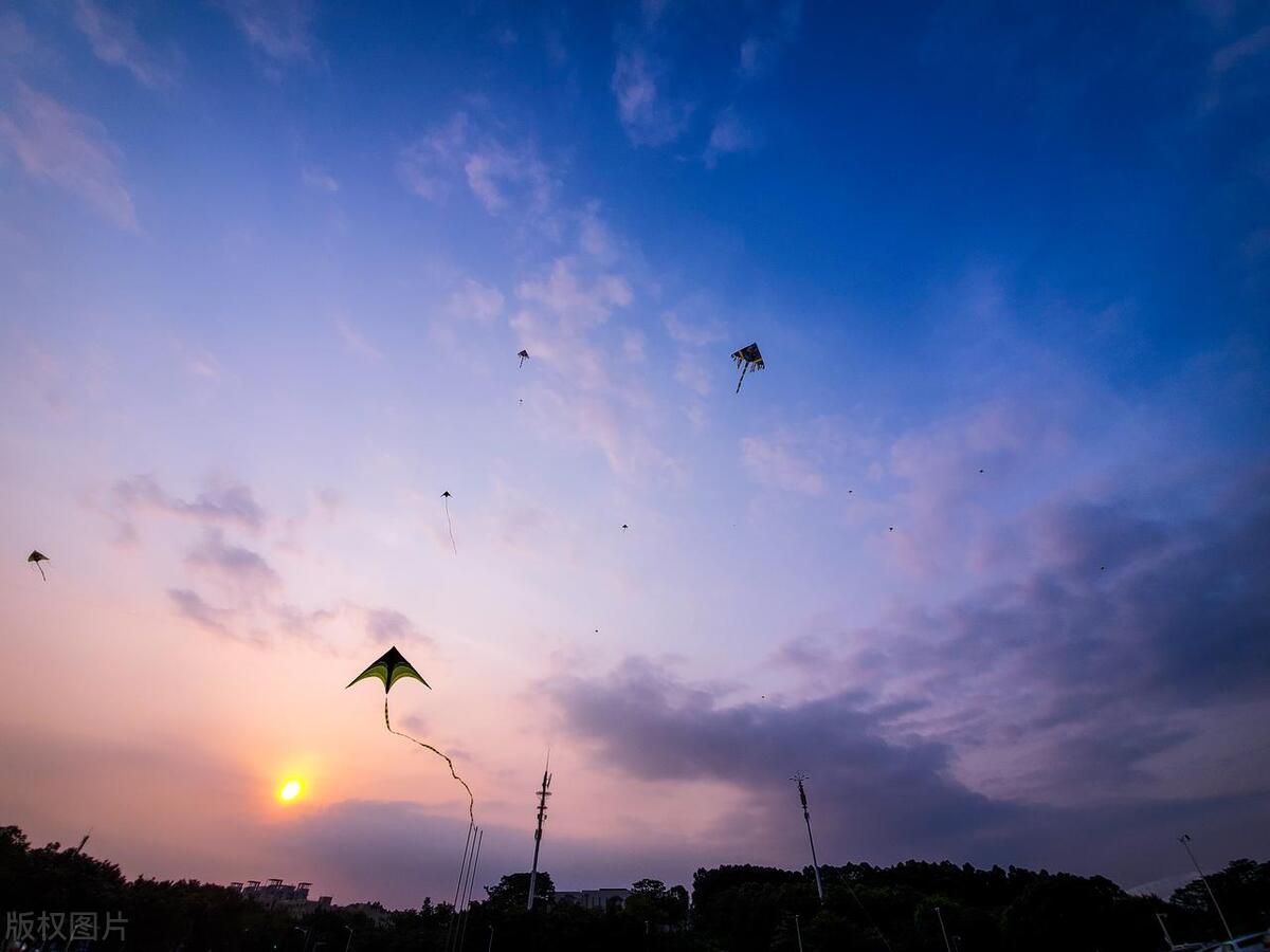 追风筝的人读书感悟读书笔记,追风筝的人读书分享五分钟