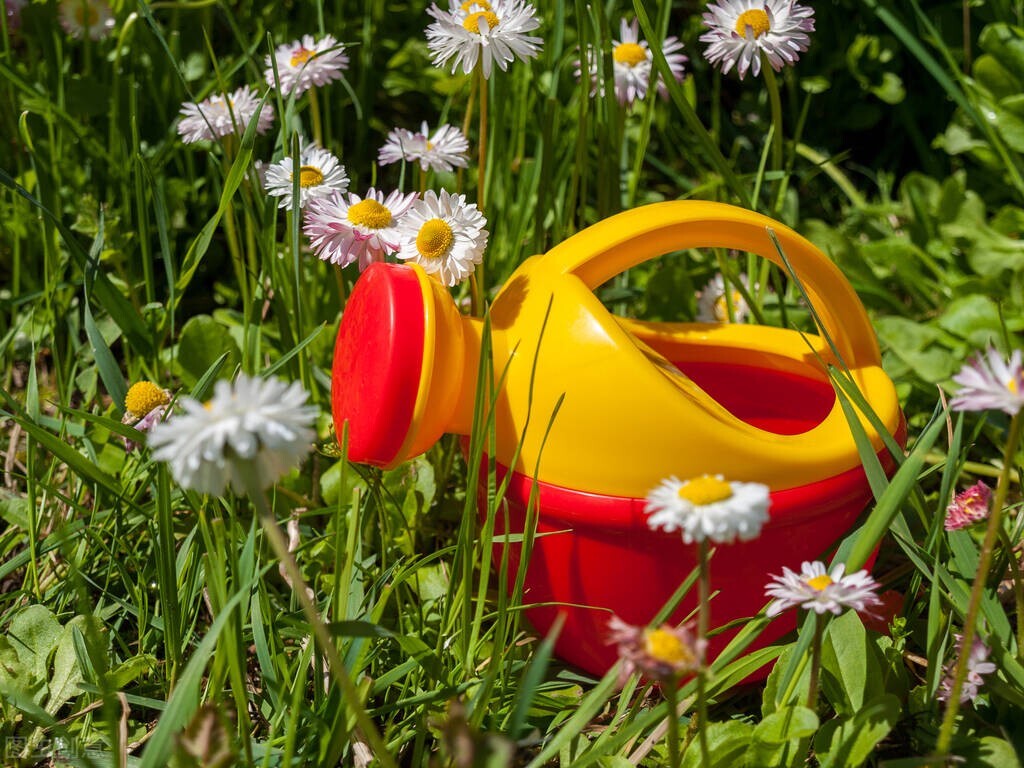 亲情类作文2022中考预测题目 (2022年中考作文押题话题亲情主题)