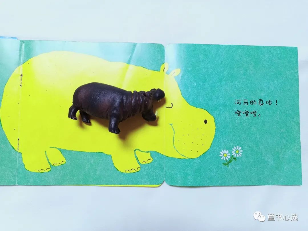 不知道怎么给宝宝做认识启蒙？这套趣味绘本值得给满分