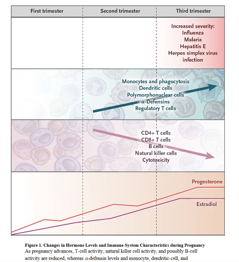 孕期肺炎支原体感染怎么治疗,孕期怎么预防炎症感染