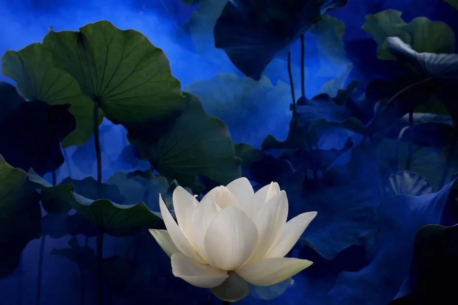 奶嘴乐效应有效吗,奶嘴乐理论最终告诉我们什么