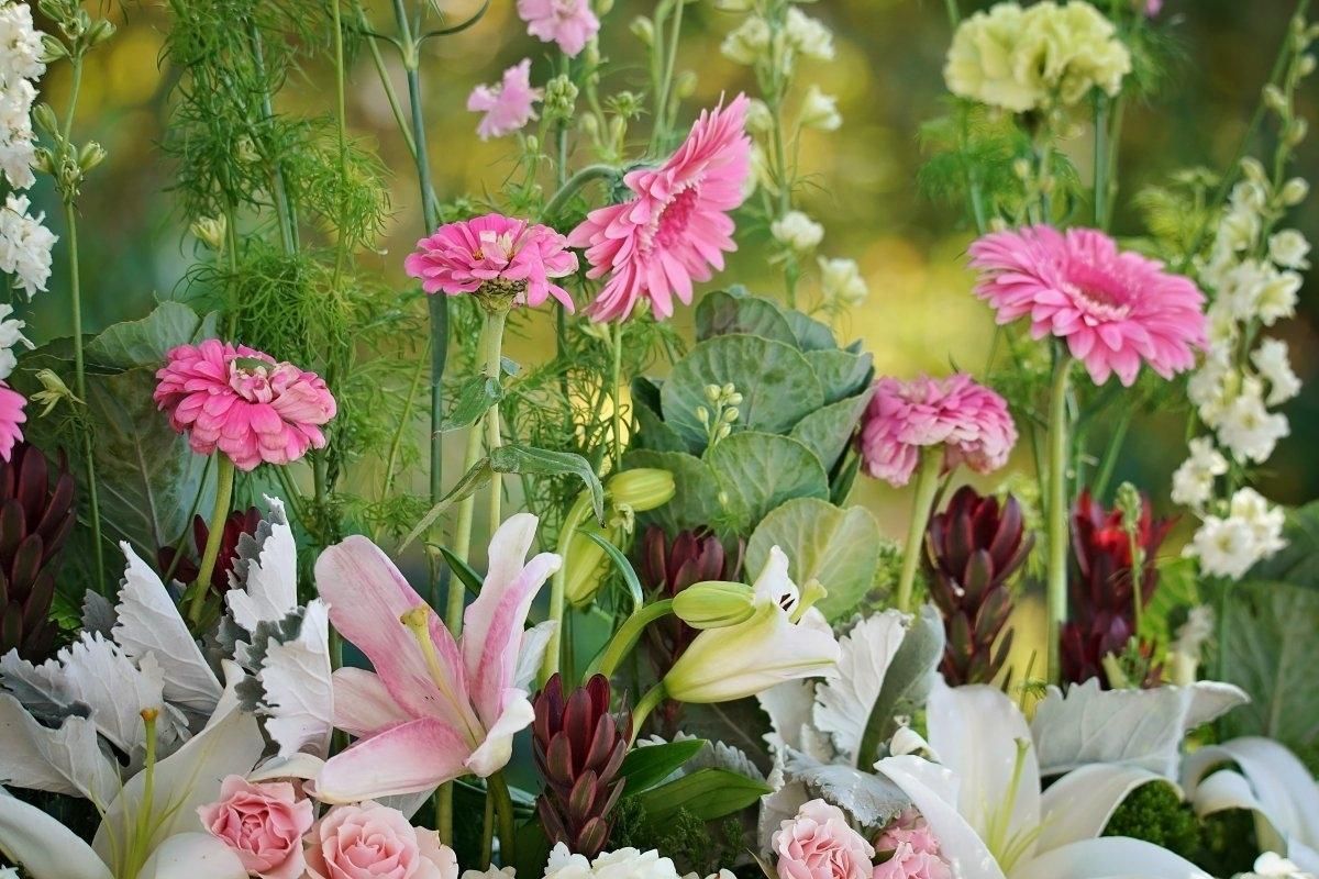 当你很难过很烦的时候你会怎么办,当你觉得一切都很烦时