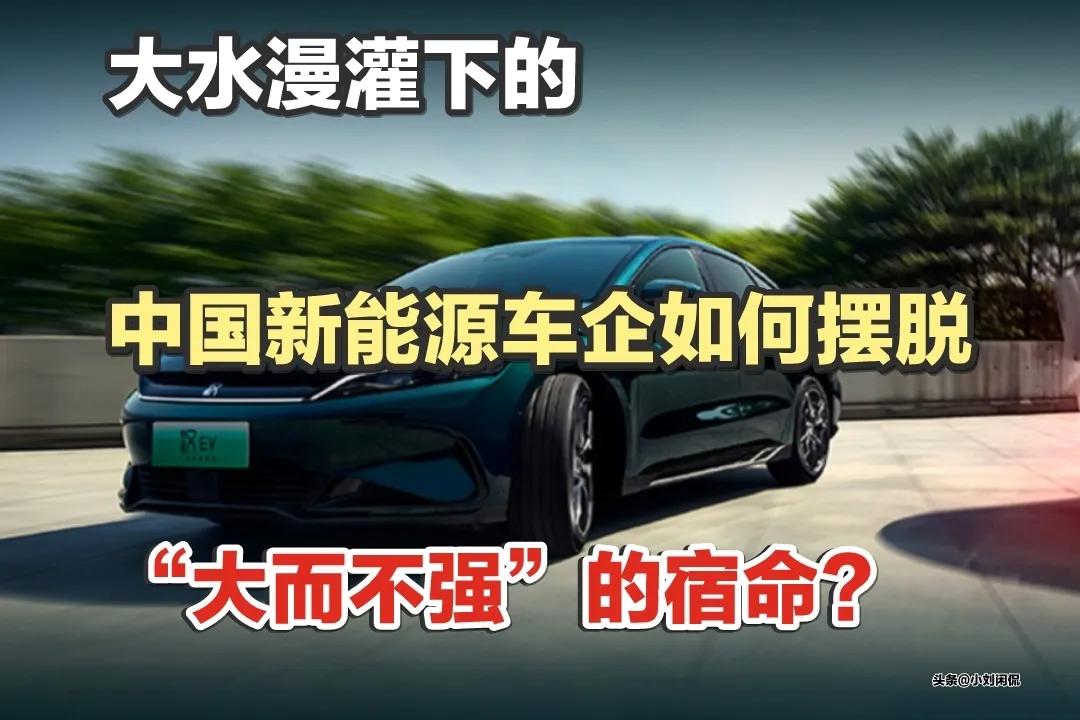 撑不住的中国新能源车企,新能源车企涉险的破局逻辑