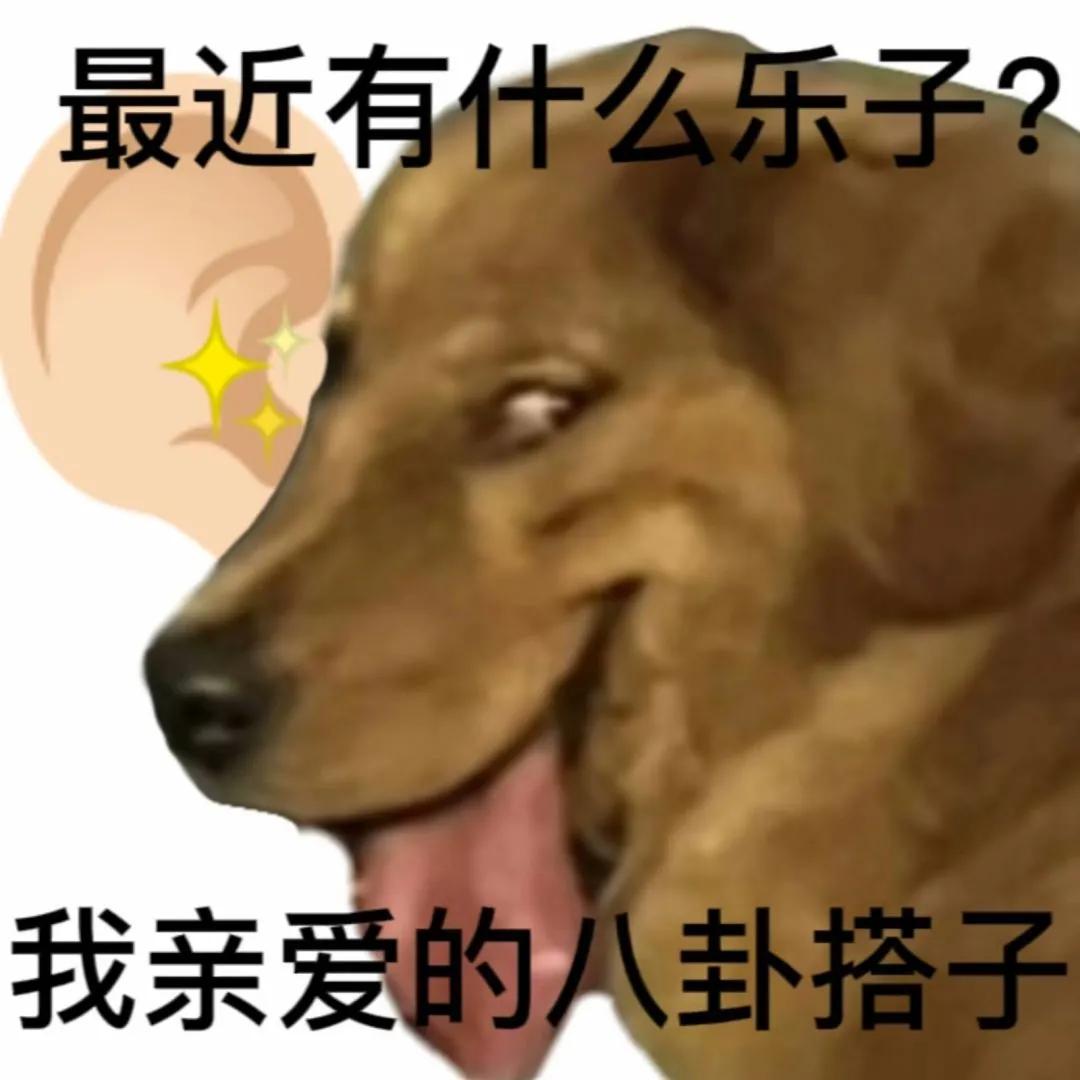 心里乱七八糟的表情包,搞笑图片沙雕表情包可保存