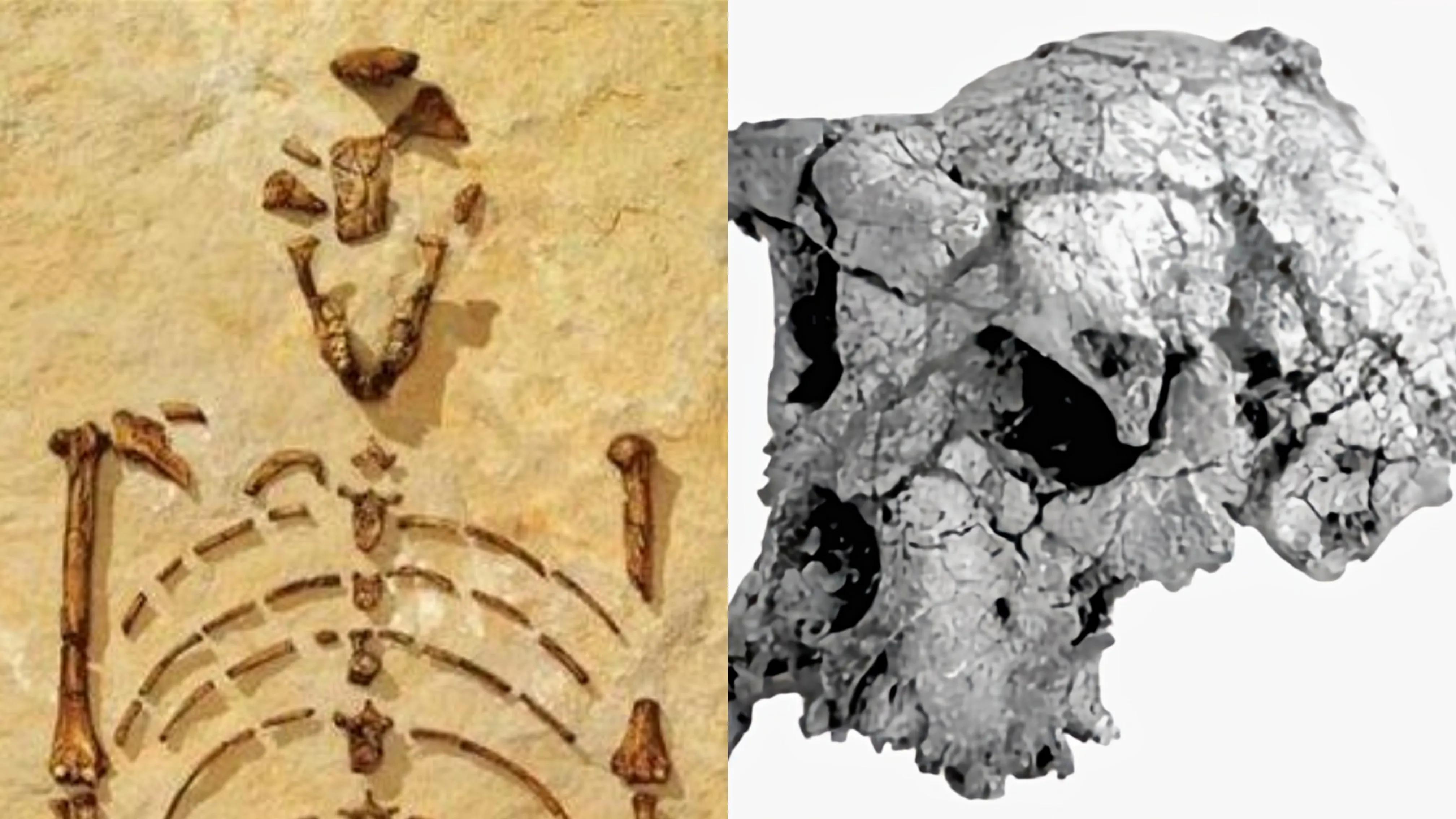 世界上最早的人类在哪个国家,世界上最早出现的人类在哪个洲