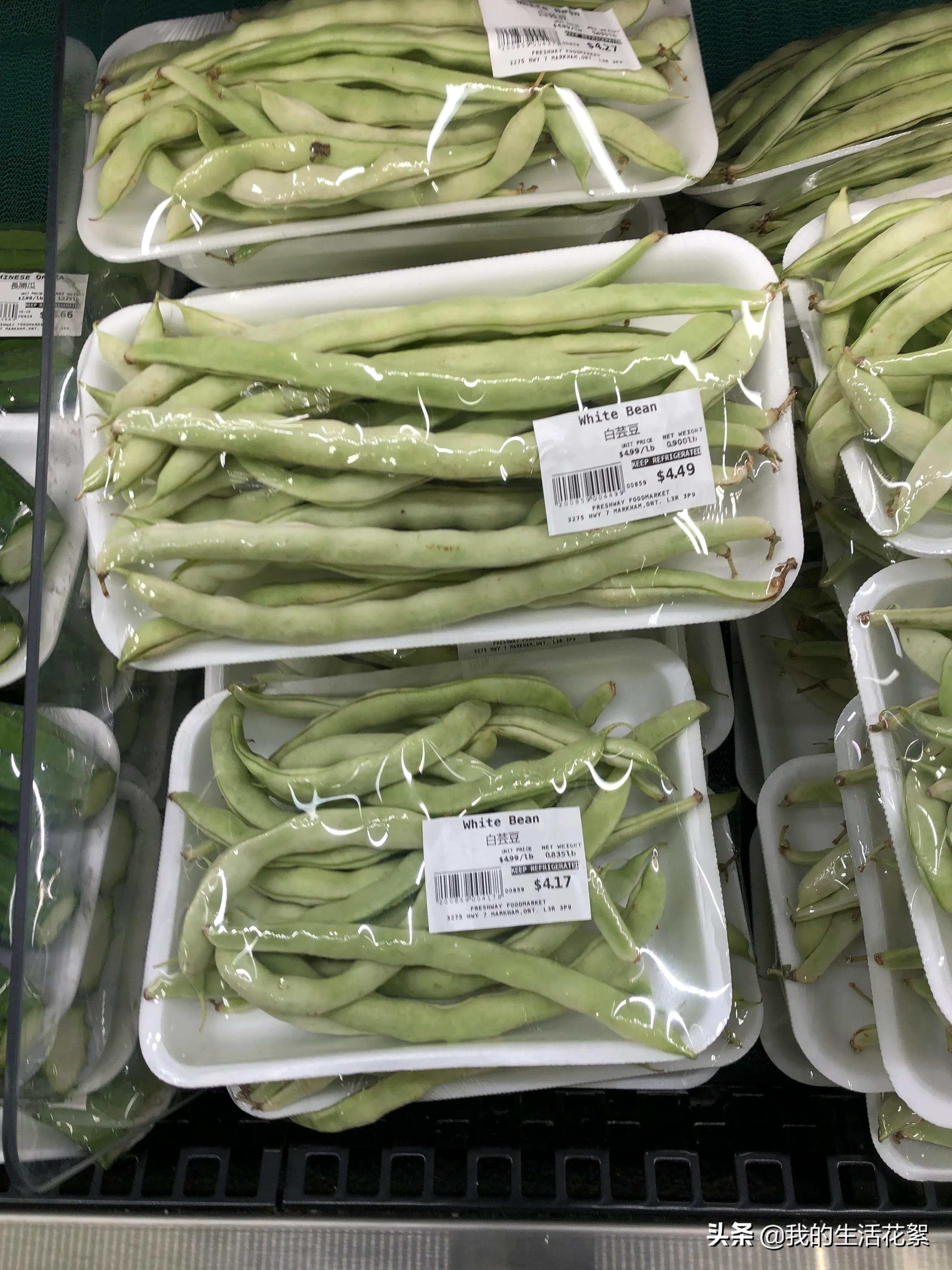 福州加拿大多伦多物价 (加拿大生活物价如何)