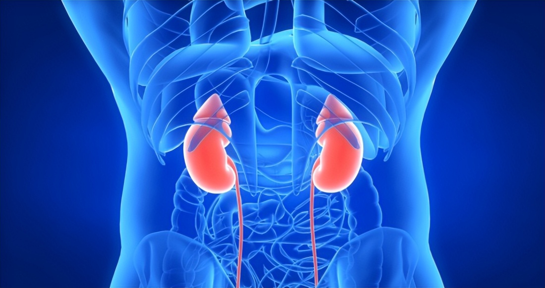 肌酐高就是代谢功能差吗,肾功能肌酐正常尿常规肌酐高