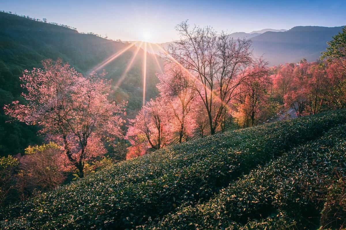 6月份云南适合旅游么,6—8月份云南旅游