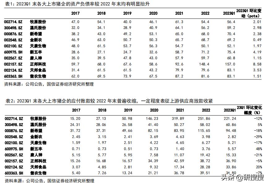 农林牧渔行业分析报告怎么写,农林牧渔行业发展趋势研究