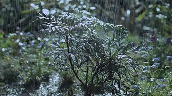 中国在哪个岛上钓鱼最好,中国哪个岛适合钓鱼