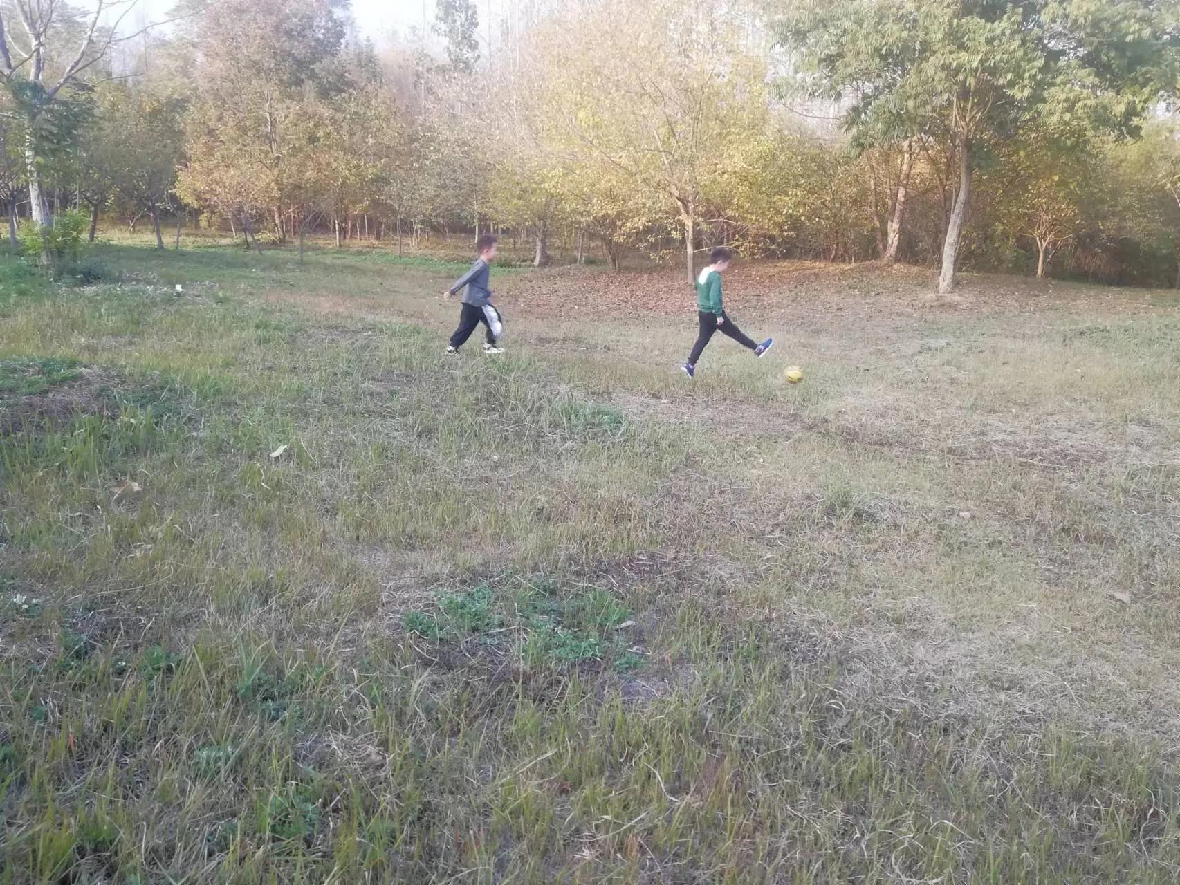 周末探访合肥市蜀山区枫林路