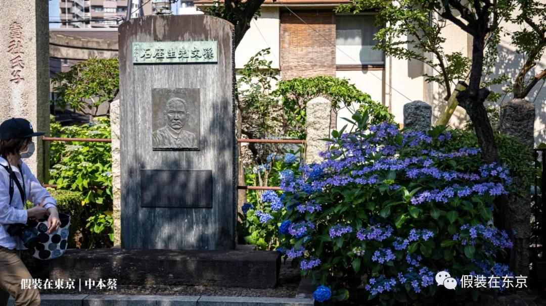 365张照片回顾,365张相片