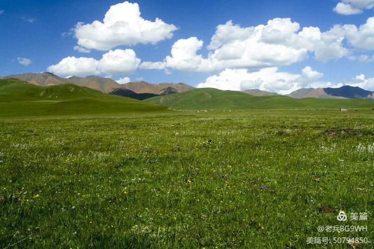 祁连山草原哪里最美,祁连山深处草原