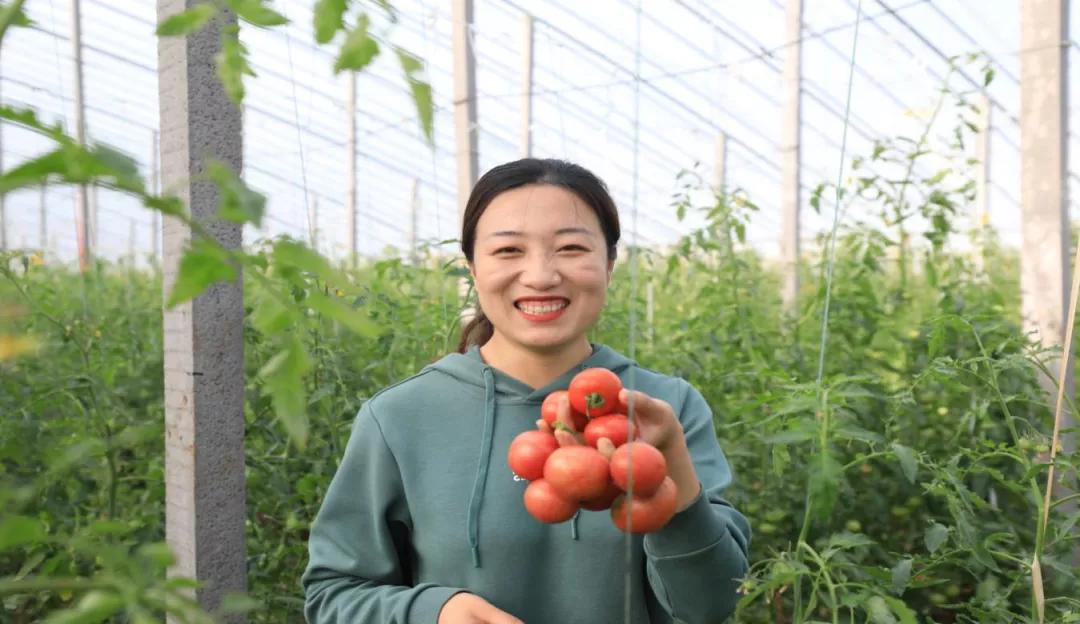 乡村振兴激活土地要素,乡村振兴黄金百香果