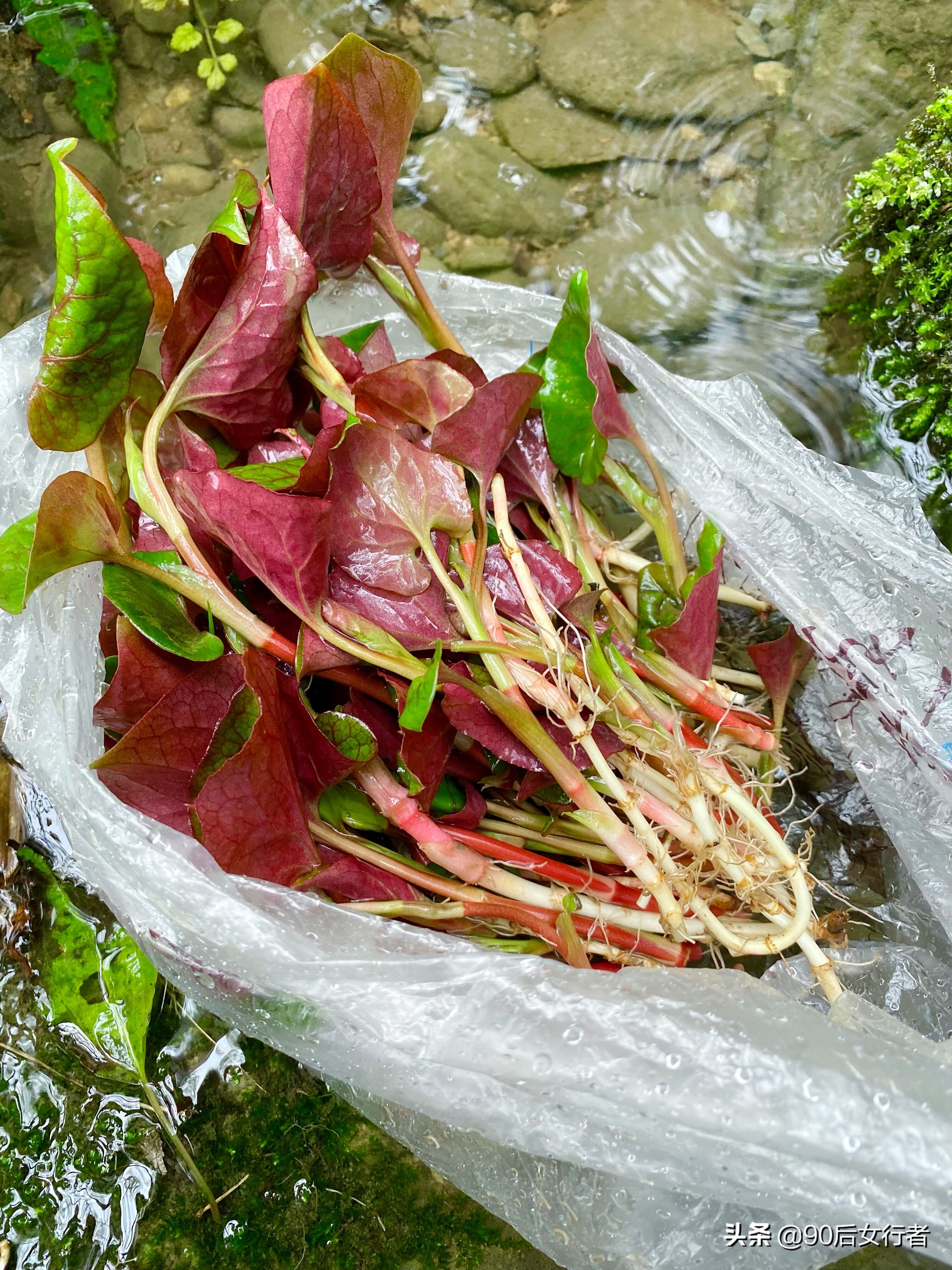 雨天徒步十里长山凹,走进大自然翻山越岭户外徒步
