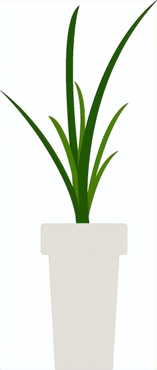 包皮术后感染怎么办?6个方法让你告别焦虑