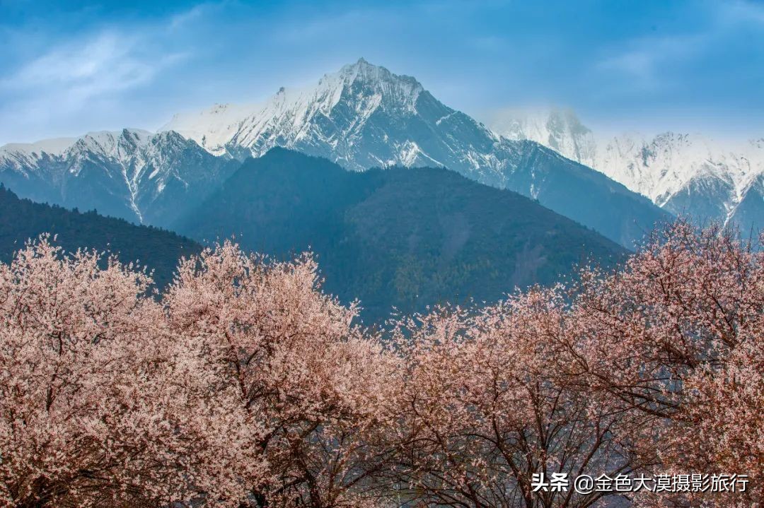 3月份去西藏林芝,3-4月去西藏林芝好玩吗