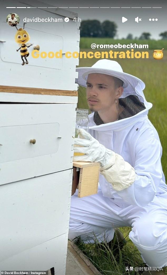 贝克汉姆自家农场,贝克汉姆家农场