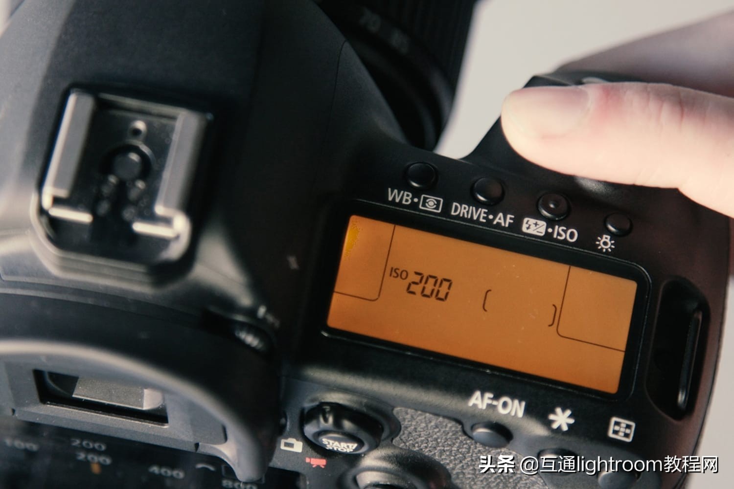 日光比较强烈怎么拍摄,强烈太阳光下如何拍照