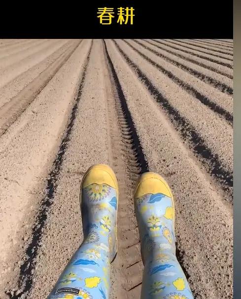 学习挪威语去挪威生活定居,中国人远嫁挪威受欢迎吗