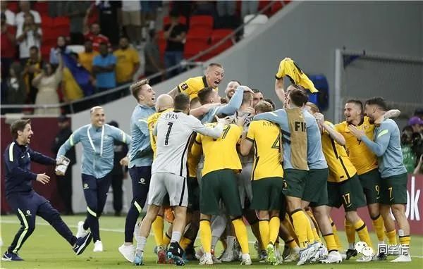 卡塔尔世界杯中有哪些物理知识,卡塔尔世界杯体育知识点