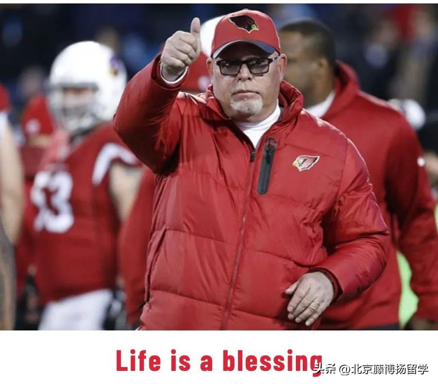 哈佛申请文书,高考作文审配