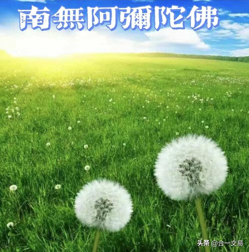 期货日内交易必须学会的知识,股票期货交易的正确观念