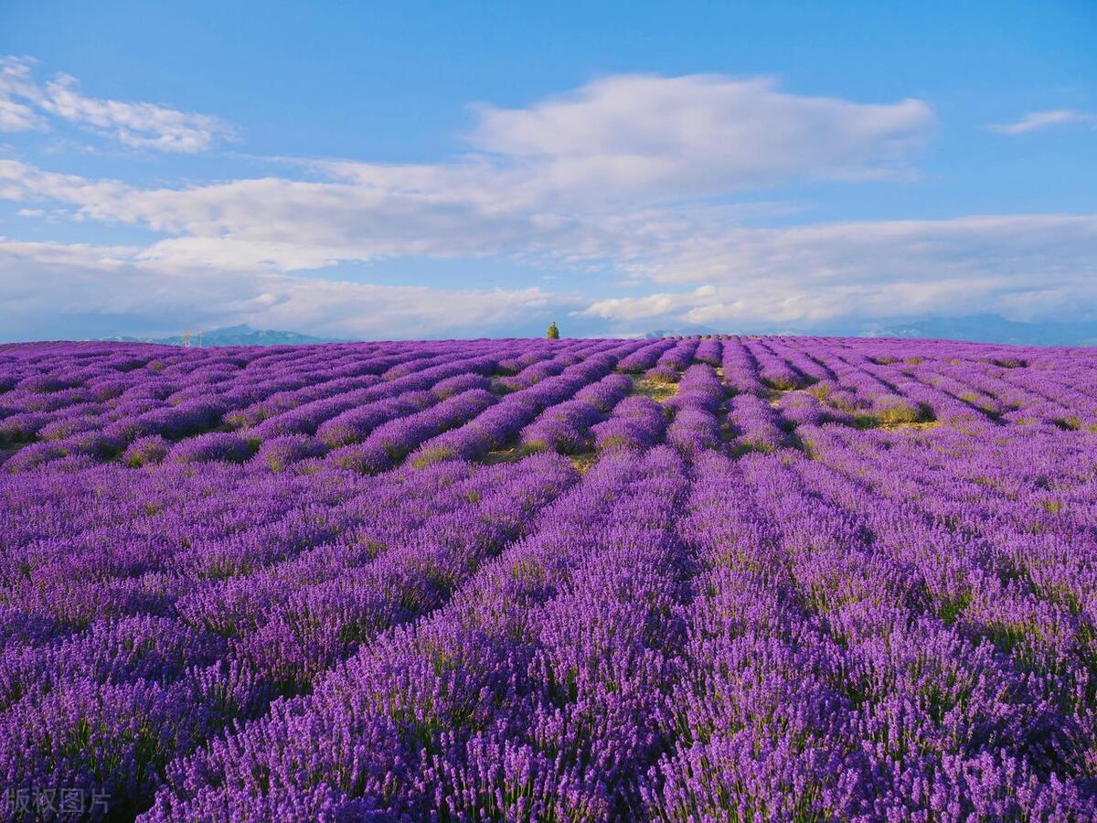 中国最值得去的100个地方是哪里,中国值得去的10个绝美旅行地