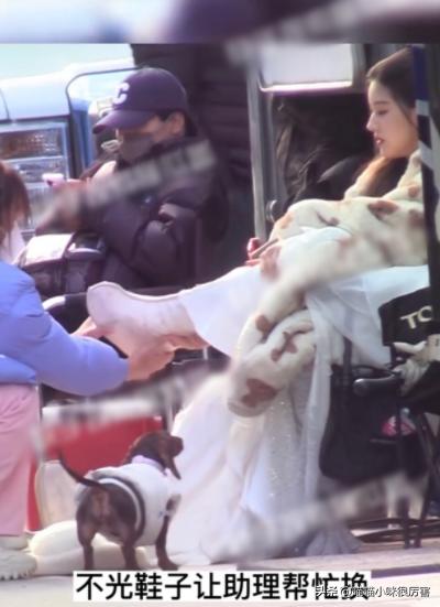 张杰谢娜道歉起波澜，这一次，内娱的毒瘤被扒得“*裤底**”都不剩了