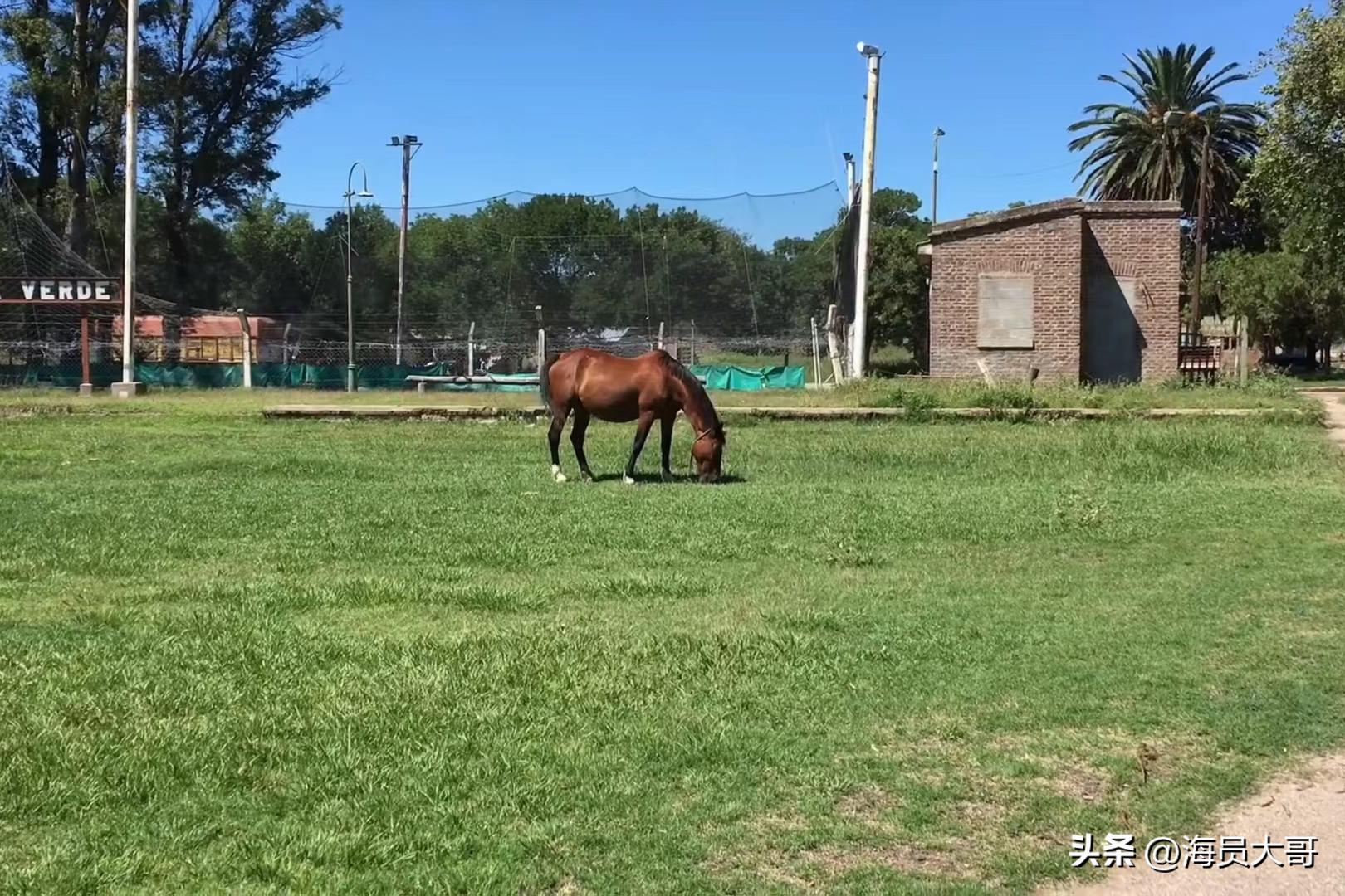 船员从美国进口大豆视频,万吨货轮装载大豆回国质量