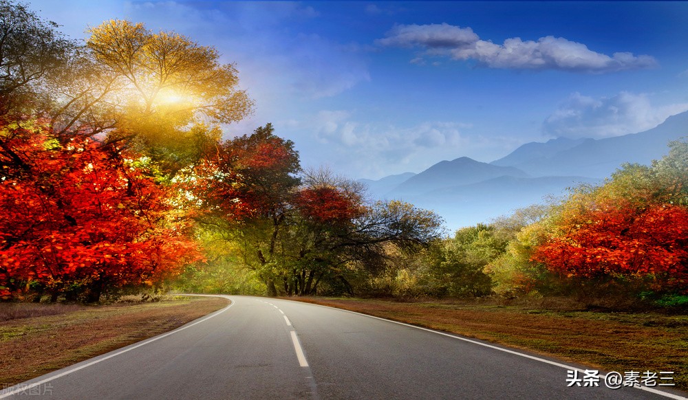 女作家去做保姆474,女作家去做保姆583