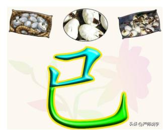 汉字偏旁汇总一览表打印,汉字的常用偏旁部首大全完整版