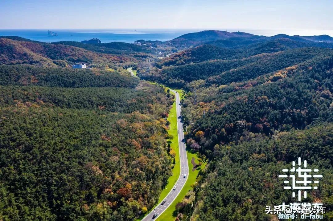 大连重点民生项目最新进展,2023年大连重点民生项目