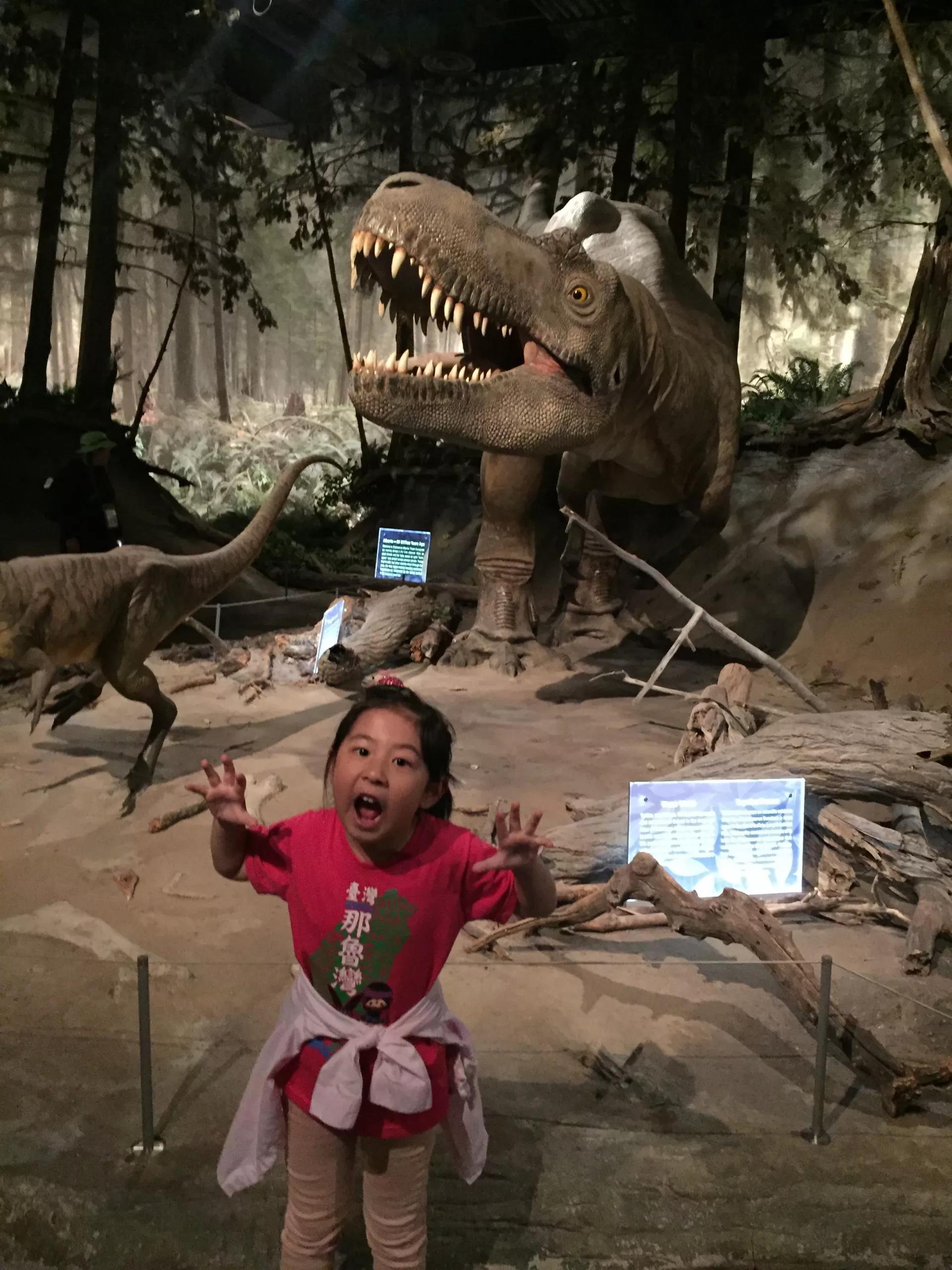 青岛如何带上猫猫去加拿大多伦多,钱猫猫加拿大之旅