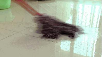 潜藏在我国数十年的“伪国货”，靠中国人大赚特赚！你买过几个？