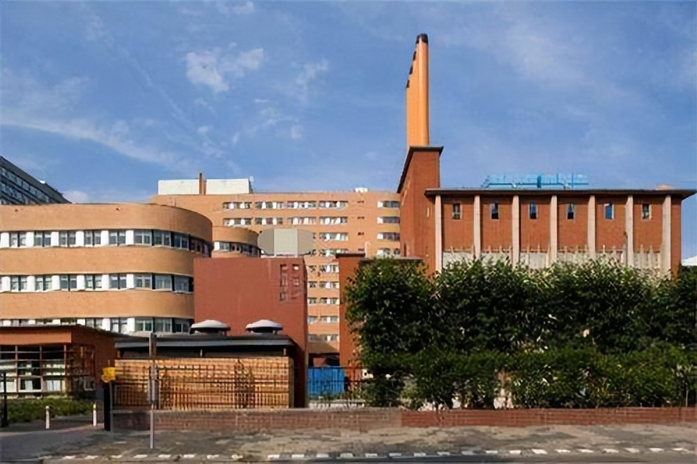 荷兰欧洲商学院工商管理硕士博士,荷兰商学院工商管理博士怎么考