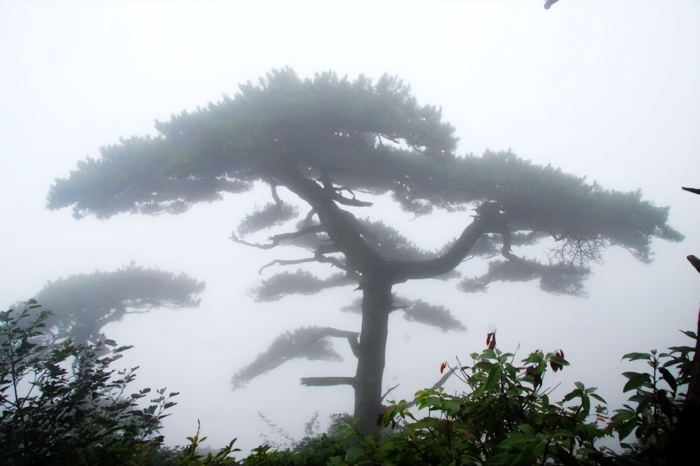 关于三清山的诗句五岳,诗人笔下的三清山