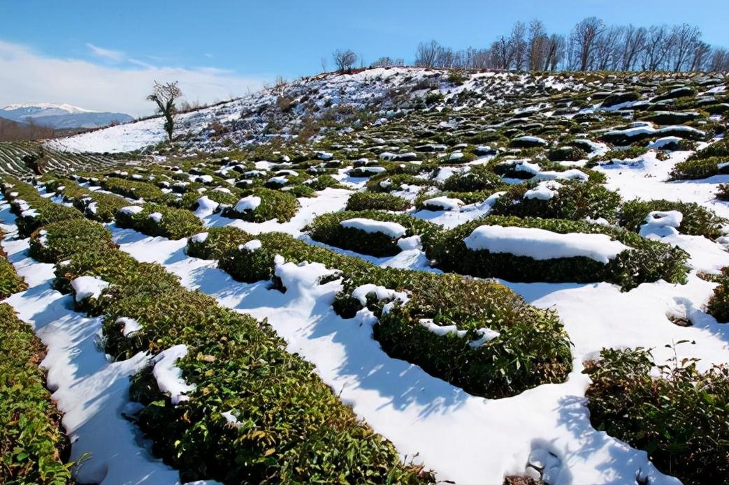 32张照片看真实的俄罗斯,50张照片带你见识日本