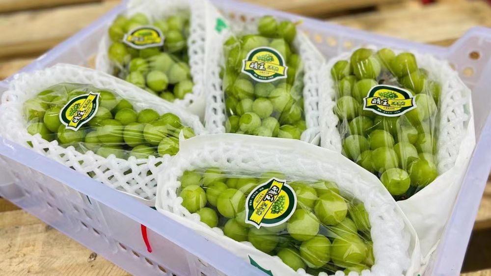 水果店的水果进货方法,水果店如何进货