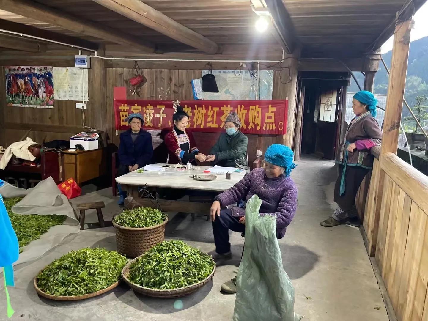 贵州姑娘90后创业,广西90后女生创业