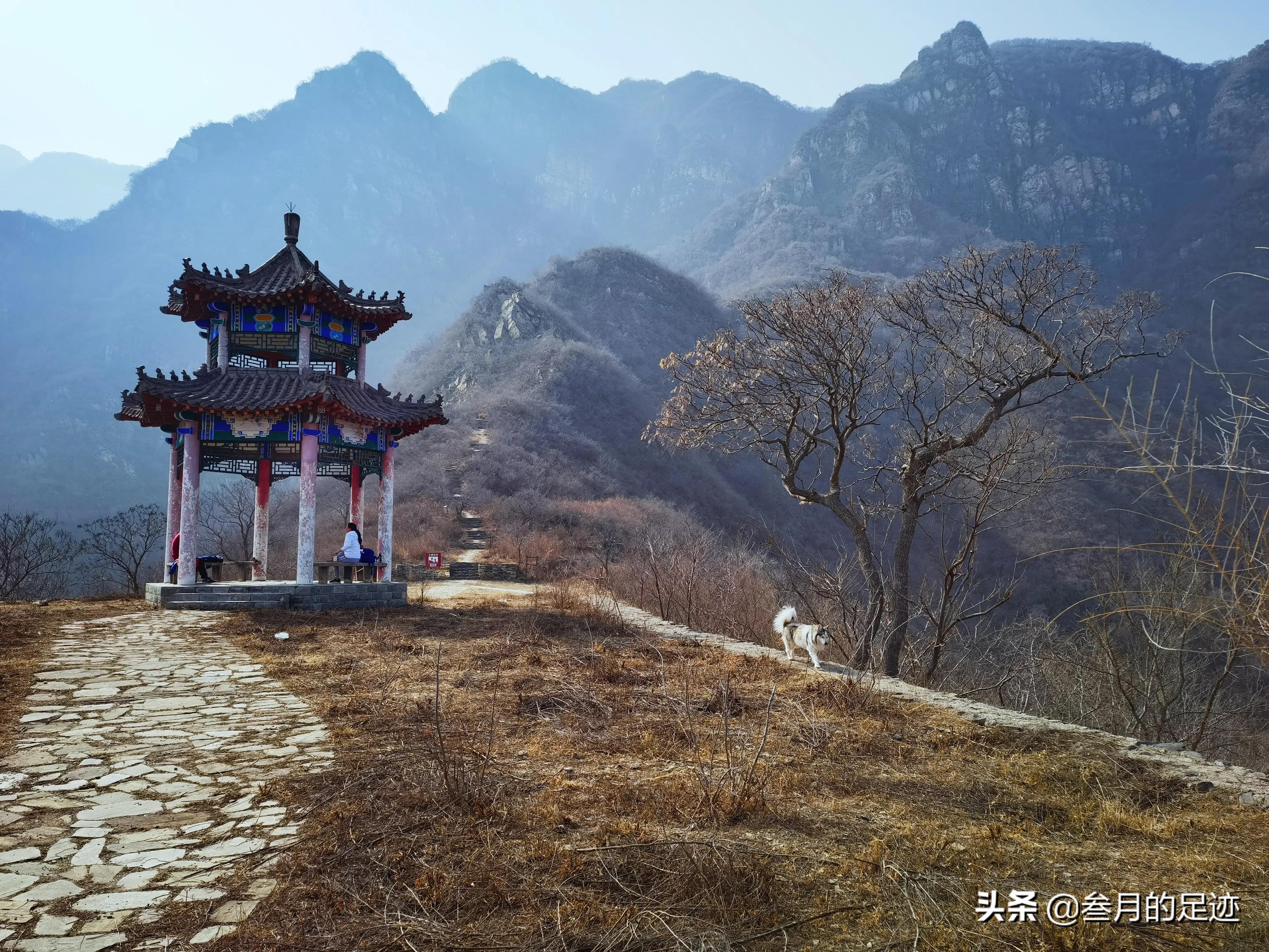 北京房山现在蒲洼梯田赏花,房山大安山梯田观景台