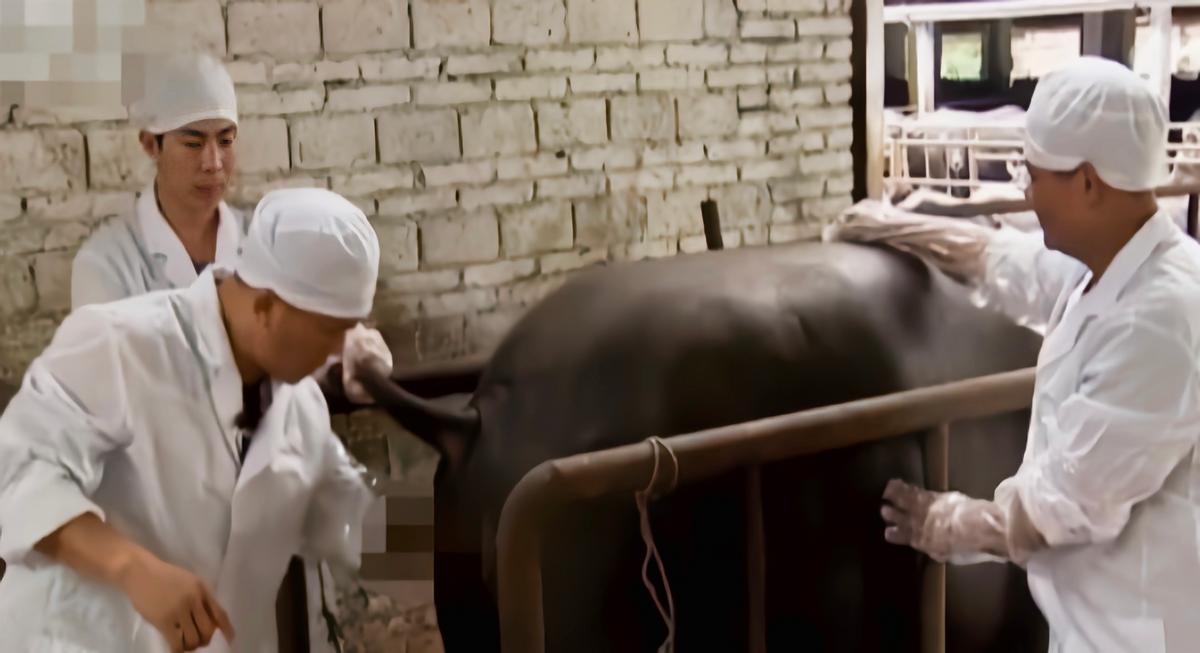 广西大叔一年赚100万,广西大叔一年赚多少