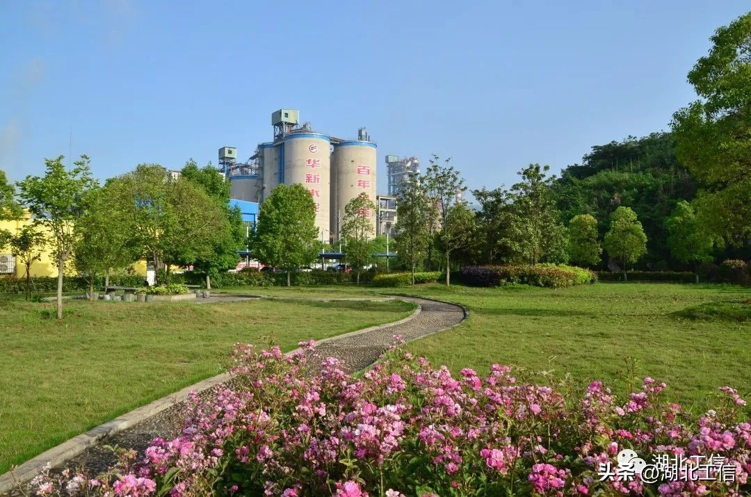 国家绿色工厂要什么条件,华新水泥公司简介